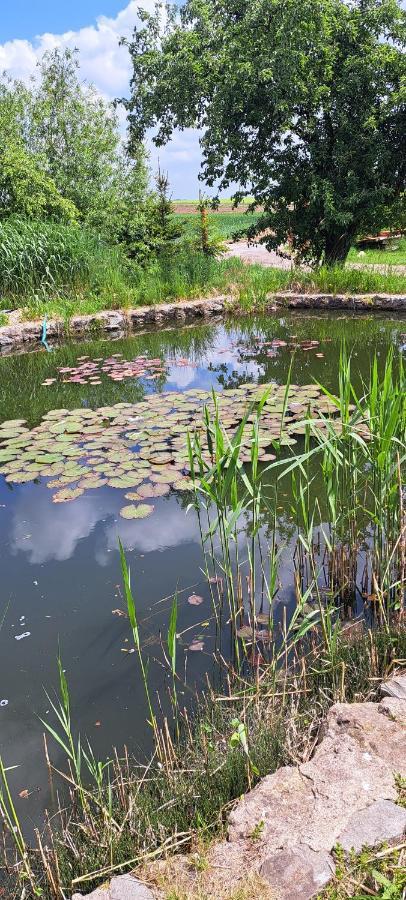 Domek U Rybnika Schloss Bosig ภายนอก รูปภาพ
